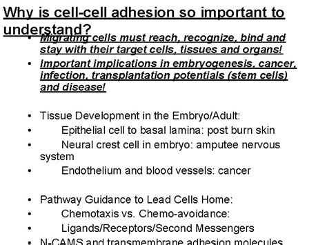 Cell Junctions Cell Adhesion and the Extracellular Matrix