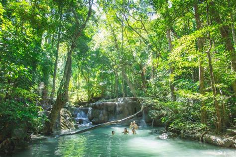 Complete Erawan Guide | Erawan national park, National parks, One day trip