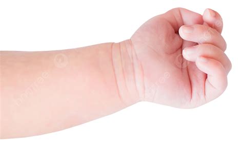 Baby Hand Gesture Clenched Fist, Baby Hand, Gesture, Clench Fist PNG Transparent Image and ...