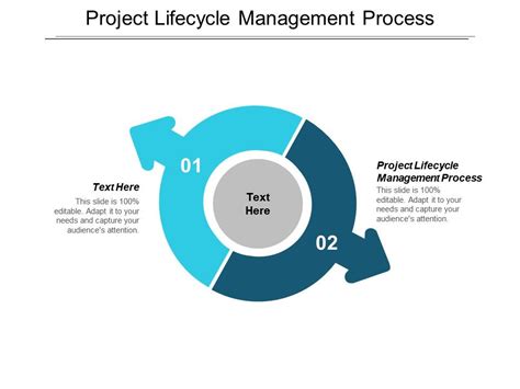 Project Lifecycle Management Process Ppt Powerpoint Presentation Show ...