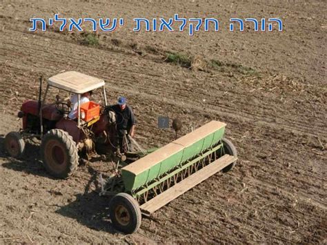 Israel Agriculture From Sky