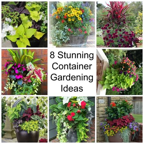 8 Stunning Container Gardening Ideas – Home and Garden