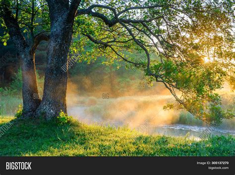 Spring Nature Scene. Image & Photo (Free Trial) | Bigstock