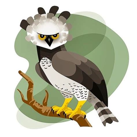 Águila harpía - 195 / #365rounds #Bichosmexicanos #vector #illustration #Mexico | Painting ...