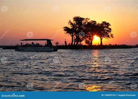 Boat on the Chobe River at Sunset Stock Photo - Image of orange, trees: 158699152