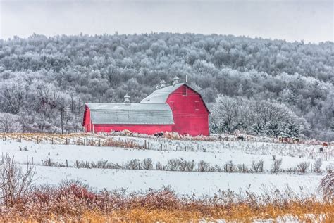 Finger Lakes Winter Farm