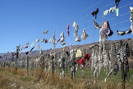 The Cardrona Bra Fence of New Zealand | Amusing Planet