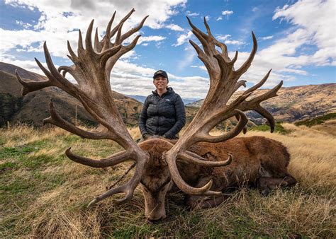 Elk Hunting Trip Photos | Wapiti, NZ | Venator Cardrona Safaris