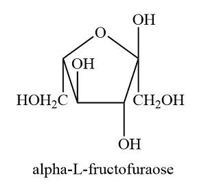 Show the Haworth of alpha-L-fructofuranose and the Fischer diagram of L-fructose. | Homework ...