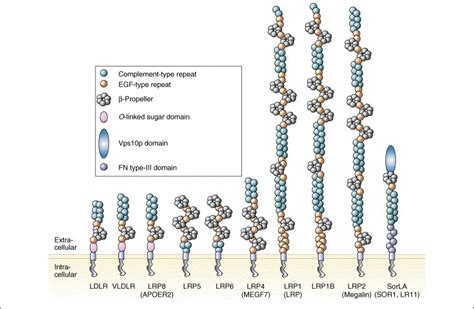 Lipoprotein receptors in Alzheimer's disease: Trends in Neurosciences