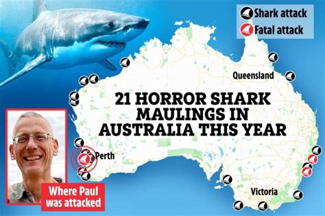 Australia shark attack map reveals 21 horror maulings this year alone ...