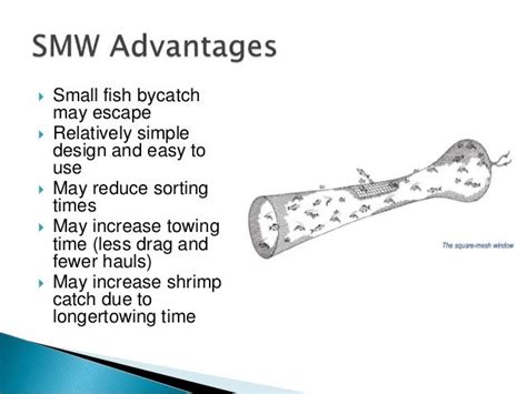 Bycatch Reduction Devices