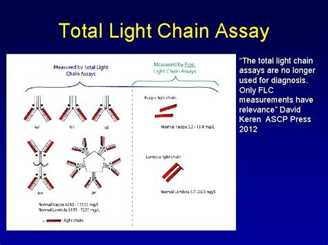 Kappa Free Light Chain Values at Wayne Smotherman blog