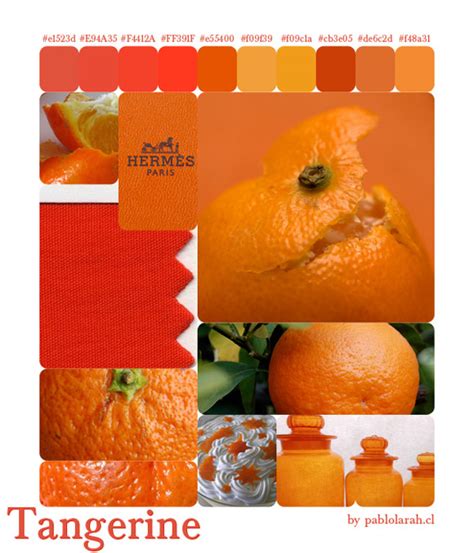 Pablo Lara H: Color Palette #5 Tangerine