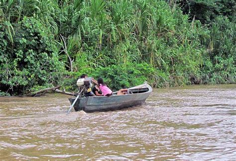 Tambopata River Adventure - Macaws • Orana Travel