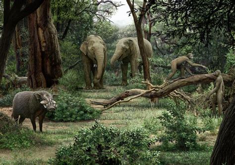 Ardipithecus Ramidus Landscape Photograph by Mauricio Anton