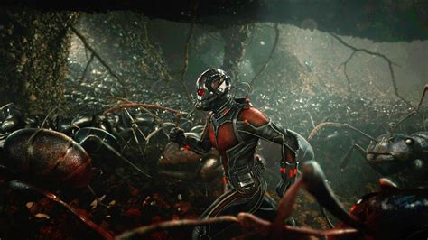 Let's Nerd Out About Ants Before You See Ant-Man | WIRED