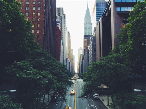 Fotos gratis : árbol, arquitectura, la carretera, horizonte, calle ...