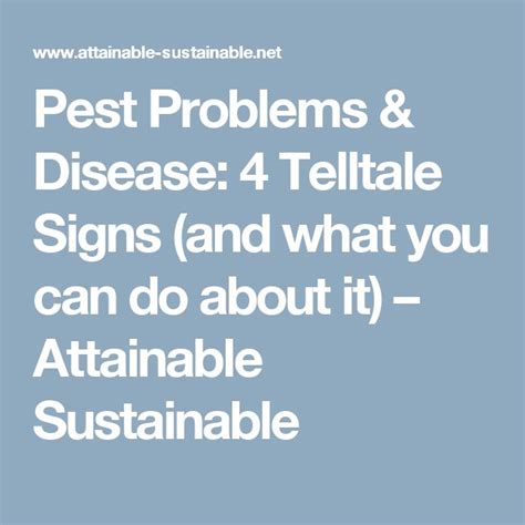 the words pest problems and disease 4 telltale signs and what you can ...