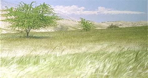 mohsen makhmalbaf landscape gif | WiffleGif