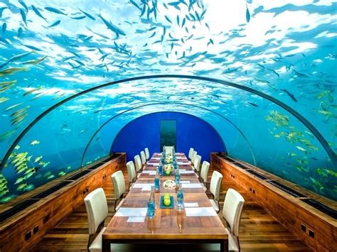 5 Underwater Restaurants In Maldives You Can’t Afford To Miss