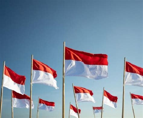 Berkibar pada 17 Agustus 1945, ini Sejarah Bendera Pusaka Merah Putih