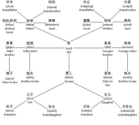 I have recently been fascinated by the Chinese family tree. Thought you ...