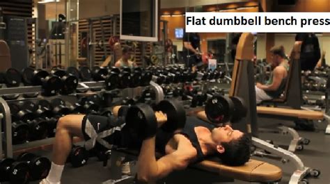 Flat Bench Dumbbell Press - Bodybuilding Wizard