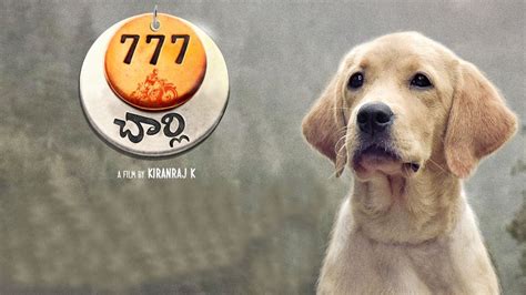 777 Charlie Telugu Movie Preview cinema review stills gallery trailer ...