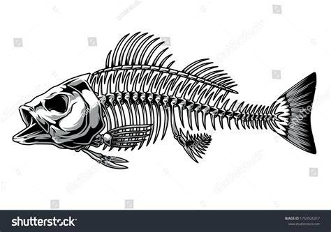 Bass Fish Skeleton Monochrome Concept Vintage Stock Vector (Royalty Free) 1753926317 | Shutterstock