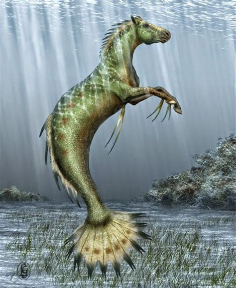 DragonsFaeriesElves&theUnseen : Hippocampus | Mythical water creatures ...