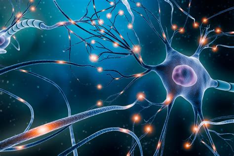 Monoamine Neurotransmitters and Psychopharmacology - Genomind