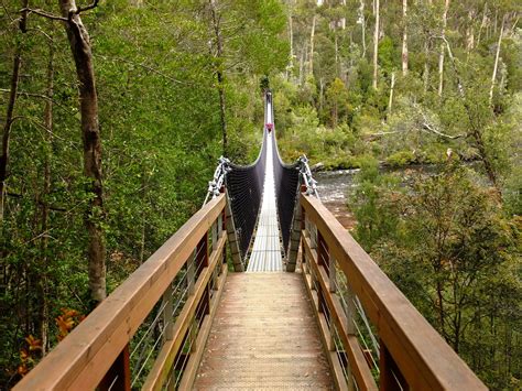 Tahune Adventures, Tasmania | a popular elevated walkway in Tasmania ...