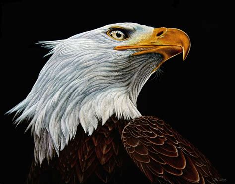 heather lara painting - 2 | Animal paintings, Scratchboard art ...