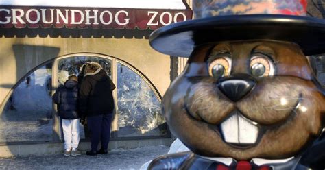 Where Does Punxsutawney Phil Live? All About Groundhog Day's Star