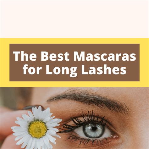 10 Best Mascaras for Length and Volume (Updated 2024)