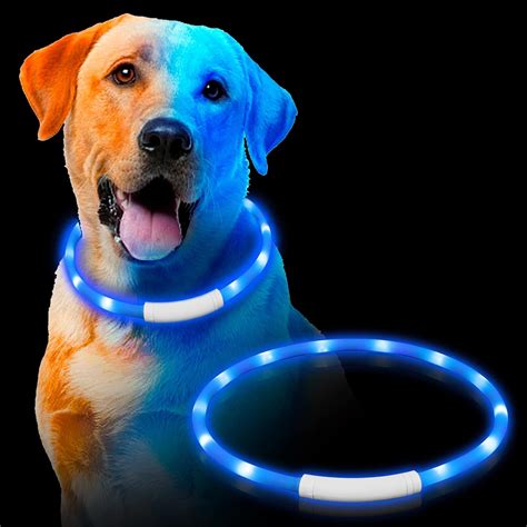 Light Up Dog Collar,Dog Light Up Collar for Small Meduim Large Dogs,Dog Collar Lights for the ...