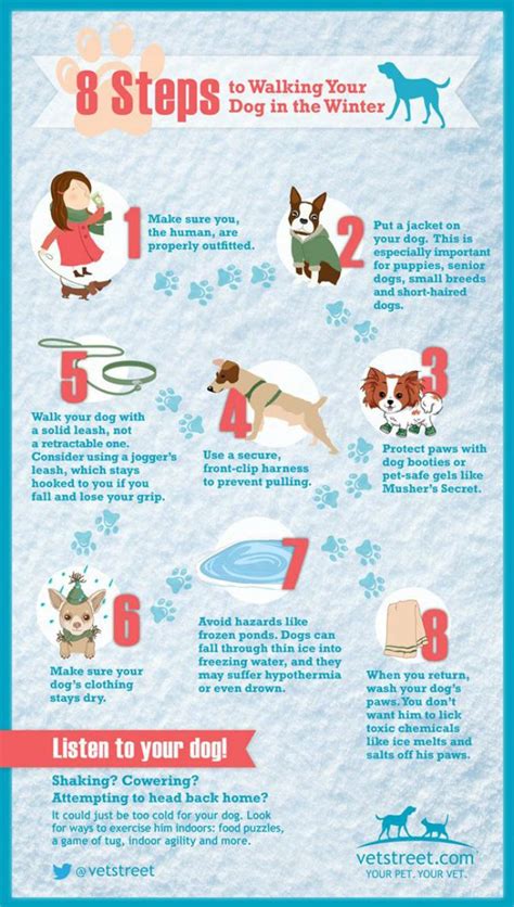 8 Steps to Walking Your Dog in Winter | Puppy training tips, Dog care, Dog walking