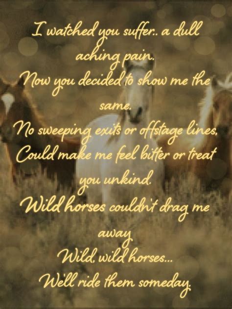 The rolling stones wild horses - liotaiwan