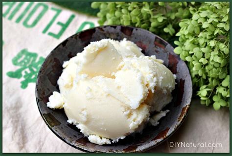 Shea Butter Benefits and Favorite Shea Butter Recipes