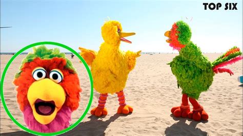 BIG BIRD Y ABELARDO DE PLAZA SESAMO SON PRIMOS - YouTube