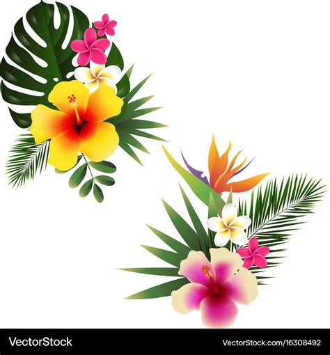 Tropical flower set Royalty Free Vector Image - VectorStock