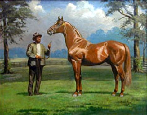 Bob's Kentucky History Blog: Man O'War: Was he the Greatest Thoroughbred of All?