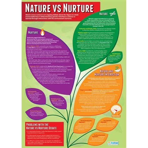 Nature vs Nurture Poster - Daydream Education