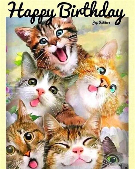 Cute Cat Birthday Cards - beyonce birthday card