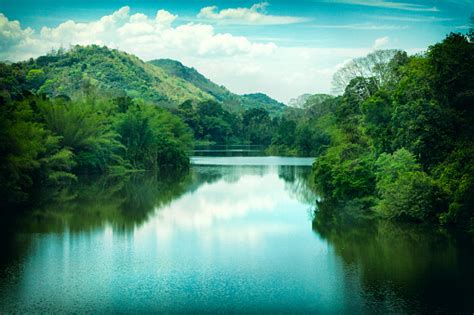 Periyar River In Kerala India Stock Photo - Download Image Now - iStock