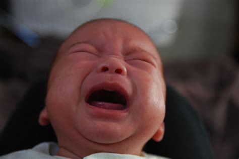 Do babies cry at night to prevent their parents from having more kids ...