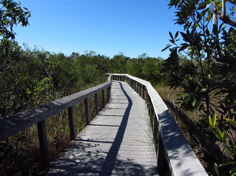 Shark-Valley-Visitor-Center-Everglades-National-Park-Miami-FL-009