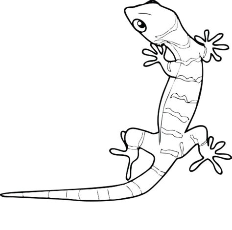 Leopard Gecko Coloring Pages at GetColorings.com | Free printable colorings pages to print and color