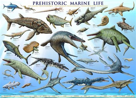 Sea Life Poster | The Dinosaur Farm